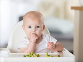 Desarrollando el sentido del gusto y explorando la comida