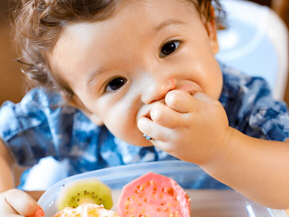 Alimentación sólida de tu bebé. Etapa: 6 meses