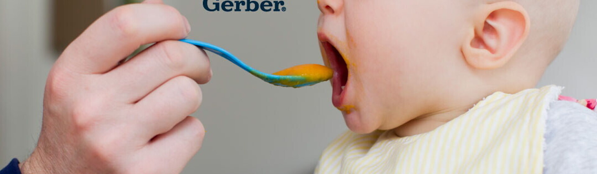 banner-mobile-gerber